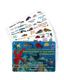 Plaquettes immergeables Méditerannée