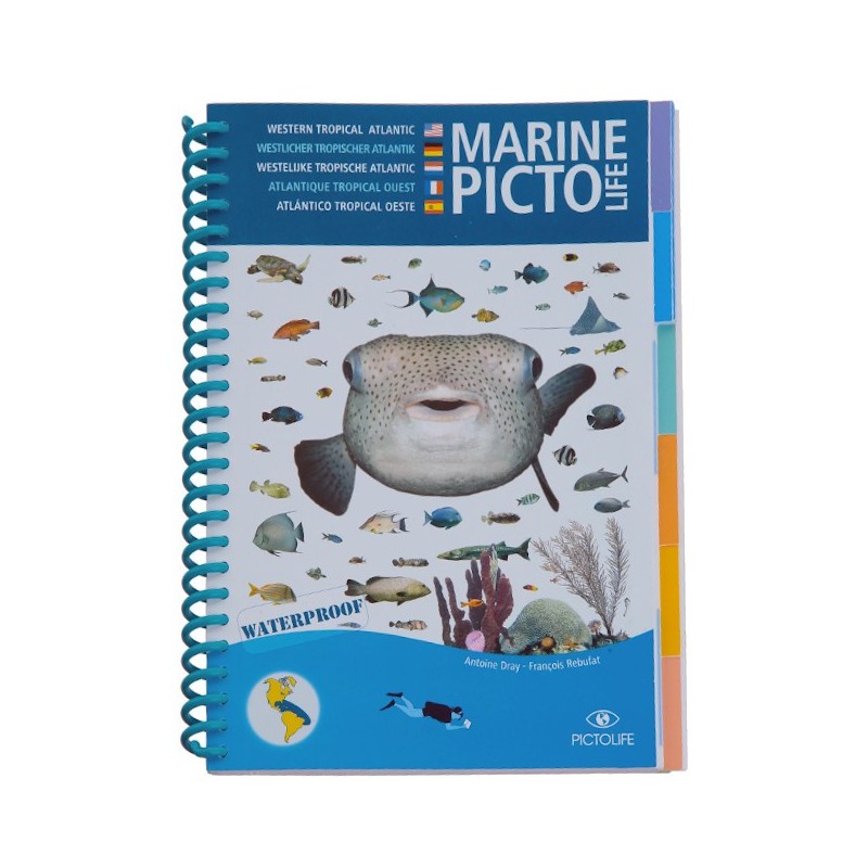 Livre immergeable Pictolife Caraibes