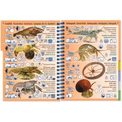 Livre immergeable Pictolife Eau Douce Europe Ouest