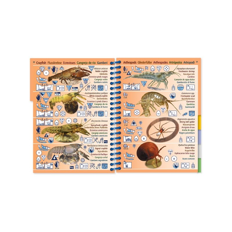 Livre immergeable Pictolife Eau Douce Europe Ouest