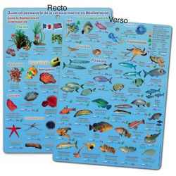 Plaquette immergeable Méditerranée