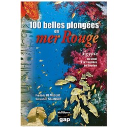 100 belles plongées en mer rouge