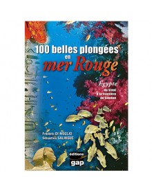 100 belles plongées en mer rouge