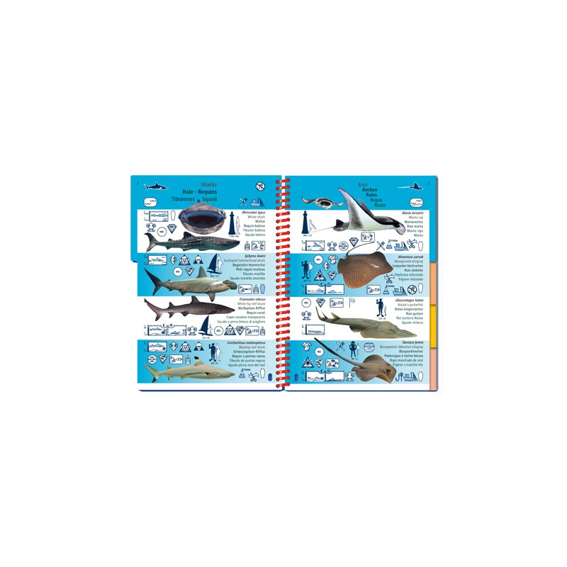 Livre immergeable Pictolife Mer Rouge