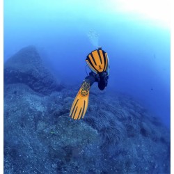 Palmes Mares Avanti Quattro 4X : puissance et confort sous l’eau