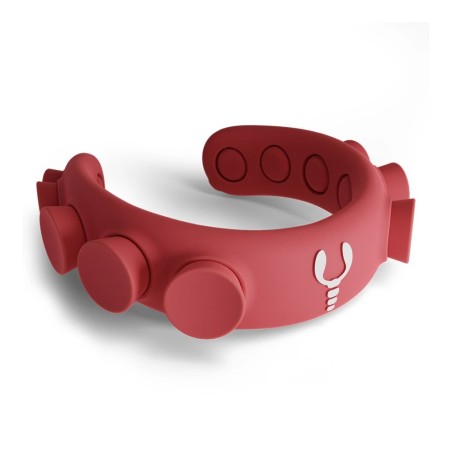 Plomb de cou Lobster Squid Sport 1.6kg