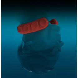 Plomb de cou Lobster Squid Pro Set 2kg