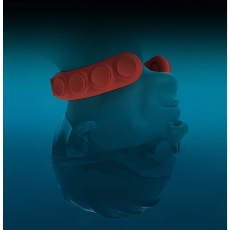 Plomb de cou Lobster Squid Pro Set 2kg