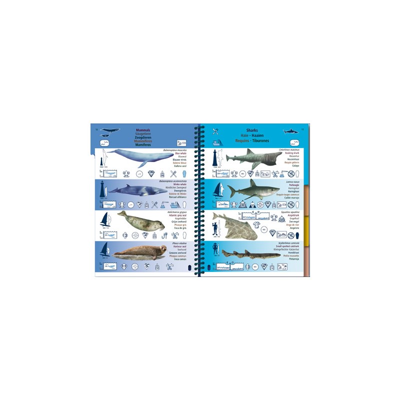 Livre immergeable Atlantique est