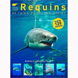 Livre Requins et raies du monde entier
