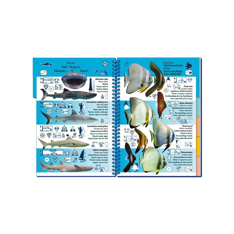 Livre immergeable Pictolife Pacifique Asiatique