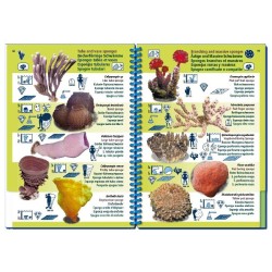 Livre immergeable Pictolife Pacifique Asiatique